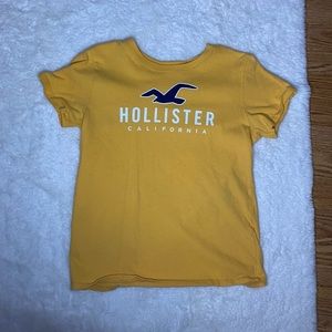 hollister logo tee